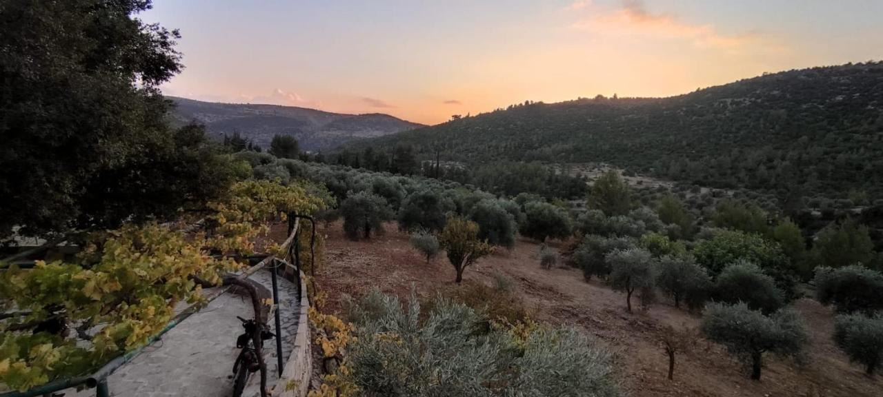 Oak Farm مزرعة الملّول Guest House ‘Ajlūn Eksteriør bilde